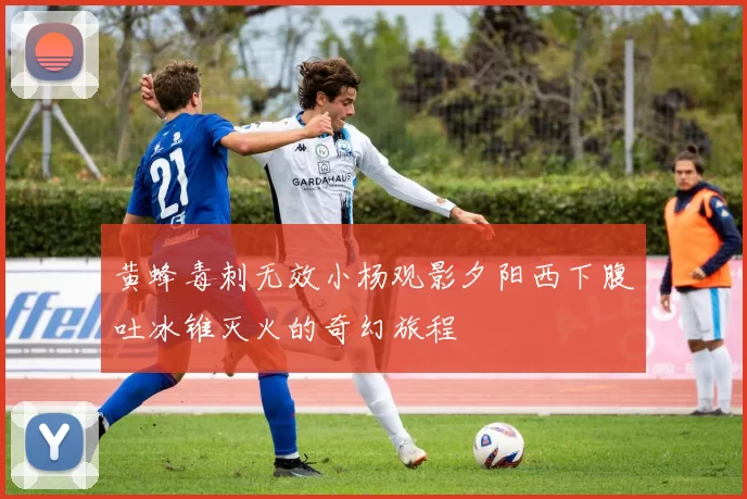 黄蜂毒刺无效小杨观影夕阳西下腹吐冰锥灭火的奇幻旅程