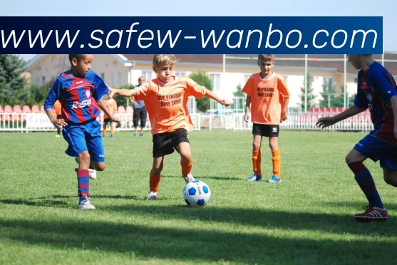 万博体育平台生态图