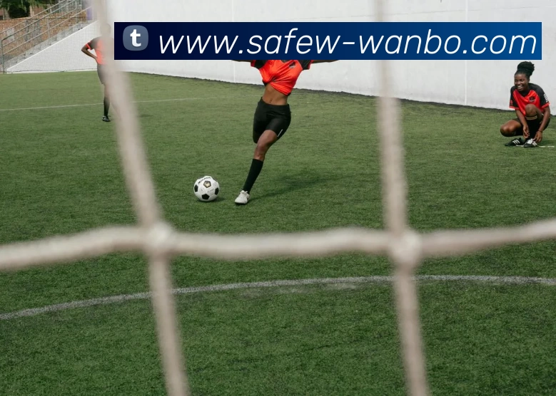 万博体育APP 封面图